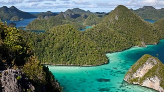 PERSPECTIVE:
Consumer/
Prospect
 