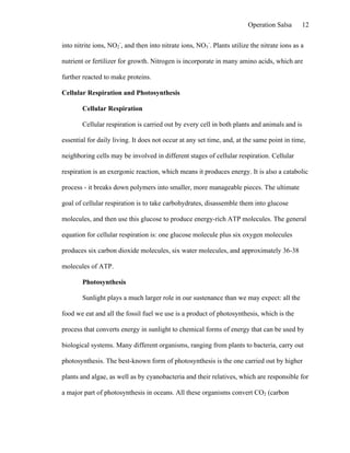 Operation Salsa      12

into nitrite ions, NO2-, and then into nitrate ions, NO3-. Plants utilize the nitrate ions as a

nutrient or fertilizer for growth. Nitrogen is incorporate in many amino acids, which are

further reacted to make proteins.

Cellular Respiration and Photosynthesis

        Cellular Respiration

        Cellular respiration is carried out by every cell in both plants and animals and is

essential for daily living. It does not occur at any set time, and, at the same point in time,

neighboring cells may be involved in different stages of cellular respiration. Cellular

respiration is an exergonic reaction, which means it produces energy. It is also a catabolic

process - it breaks down polymers into smaller, more manageable pieces. The ultimate

goal of cellular respiration is to take carbohydrates, disassemble them into glucose

molecules, and then use this glucose to produce energy-rich ATP molecules. The general

equation for cellular respiration is: one glucose molecule plus six oxygen molecules

produces six carbon dioxide molecules, six water molecules, and approximately 36-38

molecules of ATP.

        Photosynthesis

        Sunlight plays a much larger role in our sustenance than we may expect: all the

food we eat and all the fossil fuel we use is a product of photosynthesis, which is the

process that converts energy in sunlight to chemical forms of energy that can be used by

biological systems. Many different organisms, ranging from plants to bacteria, carry out

photosynthesis. The best-known form of photosynthesis is the one carried out by higher

plants and algae, as well as by cyanobacteria and their relatives, which are responsible for

a major part of photosynthesis in oceans. All these organisms convert CO2 (carbon
 