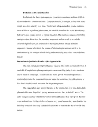 Operation Salsa        26

            Evolution and Natural Selection

            Evolution is the theory that organisms (over time) can change and that all life is

related and from a common ancestor. Complex creatures, is thought, evolve from more

simple ancestors naturally over time. To shorten it all up, as random genetic mutations

occur within an organism's genetic code, the valuable mutations are saved because they

help survival; a process known as Natural Selection. The mutations are passed on to the

next generation. Over time, the mutations accumulate and the result is an entirely

different organism (not just a variation of the original, but an entirely different

organism). Natural selection is the process of eliminating the animals not fit to its

environment by the stronger animals living and reproducing also called “survival of the

fittest”.

Discussion of Qualitative Results – (See Appendix D)

            The plant started growing fruit because we gave it the water and nutrients when it

needed it. Changes in the plants growth pattern was caused by giving it more nutrients

and/or water on some days. This affected the plants growth because the plant has a

routine of receiving the proper nutrients and water, but sometimes it would get more or

less than it needed, which accounted for the growth patterns.

            The pepper plant grew almost the same as the tomato plant over time. Later, both

plants died because they didn’t get any water or nutrients for a period of 2 weeks. The

color changes occurred when the leaves first appeared because they were given the most

water and nutrients. At first, the leaves became very green because they were healthy, but

then they lost color since they lacked sufficient water or nutrients for the two-week time

period.
 