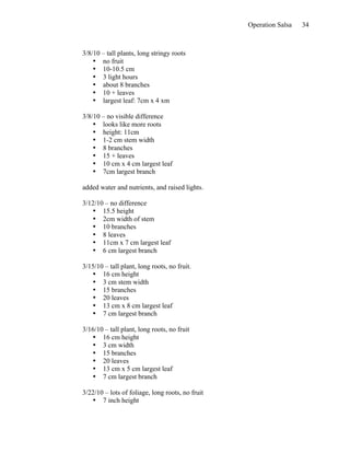Operation Salsa   34



3/8/10 – tall plants, long stringy roots
    • no fruit
    • 10-10.5 cm
    • 3 light hours
    • about 8 branches
    • 10 + leaves
    • largest leaf: 7cm x 4 xm

3/8/10 – no visible difference
    • looks like more roots
    • height: 11cm
    • 1-2 cm stem width
    • 8 branches
    • 15 + leaves
    • 10 cm x 4 cm largest leaf
    • 7cm largest branch

added water and nutrients, and raised lights.

3/12/10 – no difference
   • 15.5 height
   • 2cm width of stem
   • 10 branches
   • 8 leaves
   • 11cm x 7 cm largest leaf
   • 6 cm largest branch

3/15/10 – tall plant, long roots, no fruit.
   • 16 cm height
   • 3 cm stem width
   • 15 branches
   • 20 leaves
   • 13 cm x 8 cm largest leaf
   • 7 cm largest branch

3/16/10 – tall plant, long roots, no fruit
   • 16 cm height
   • 3 cm width
   • 15 branches
   • 20 leaves
   • 13 cm x 5 cm largest leaf
   • 7 cm largest branch

3/22/10 – lots of foliage, long roots, no fruit
   • 7 inch height
 