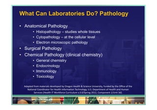 What Can Laboratories Do? Pathology

• Anatomical Pathology
          • Histopathology – studies whole tissues
          • Cytopathology – at the cellular level
          • Electron microscopic pathology
• Surgical Pathology
• Chemical Pathology (clinical chemistry)
          •   General chemistry
          •   Endocrinology
          •   Immunology
          •   Toxicology

  Adapted from materials developed by Oregon Health & Science University, funded by the Office of the 
    National Coordinator for Health Information Technology, U.S. Department of Health and Human 
          Services (Health IT Workforce Curriculum v.3.0/Spring 2012, Component 1/Unit 3d).

                                                                                             55
 