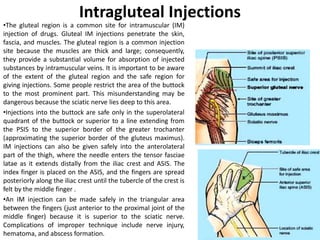 Comprehensive Anatomy and Surgical Insights of the Gluteal and ...