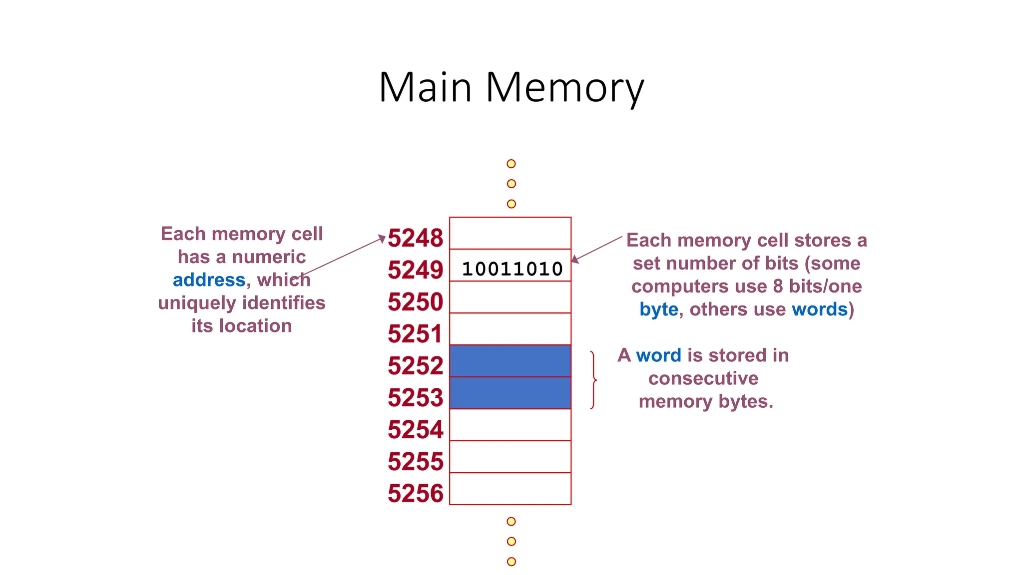 Main Memory
5248
5249
5250
5251
5252
5253
5254
5255
5256
A word is stored in
consecutive
memory bytes.
10011010
Each memory cell stores a
set number of bits (some
computers use 8 bits/one
byte, others use words)
Each memory cell
has a numeric
address, which
uniquely identifies
its location
 