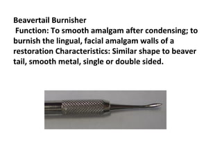 Beavertail Burnisher