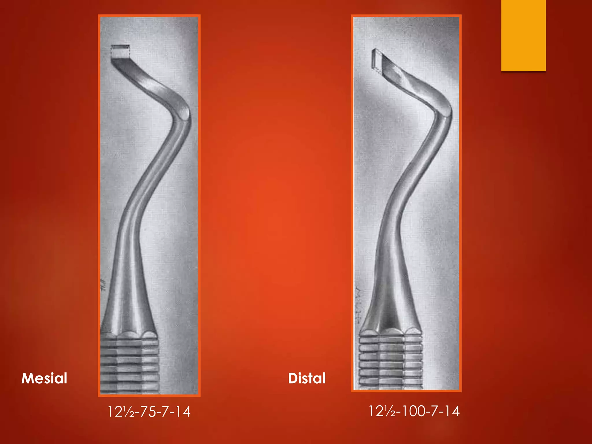 Operative instruments in Conservative Dentistry & Endodontics | PPTX