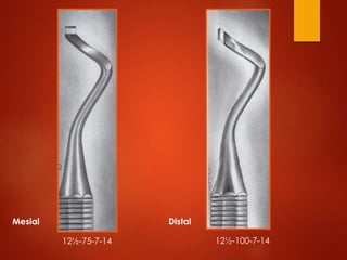 12½-100-7-1412½-75-7-14
Mesial Distal
 