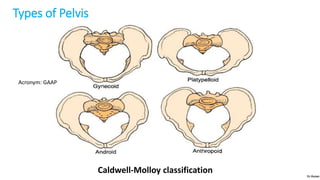 Types of Pelvis
Caldwell-Molloy classification
Acronym: GAAP
Dr.Rozan
 