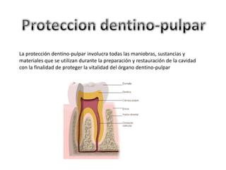 La protección dentino-pulpar involucra todas las maniobras, sustancias y
materiales que se utilizan durante la preparación y restauración de la cavidad
con la finalidad de proteger la vitalidad del órgano dentino-pulpar
 