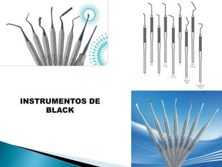 INSTRUMENTOS DE 
BLACK 
 