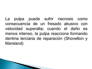 La pulpa puede sufrir necrosis como 
consecuencia de un fresado abusivo con 
velocidad superalta; cuando el daño es 
menos intenso, la pulpa reacciona formando 
dentina terciaria de reparación (Shovelton y 
Marsland) 
 