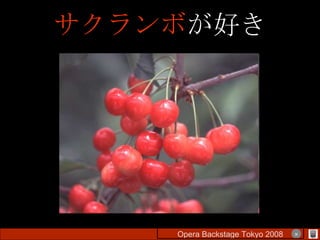サクランボ が好き Opera Backstage Tokyo 2008 　　　　 × 