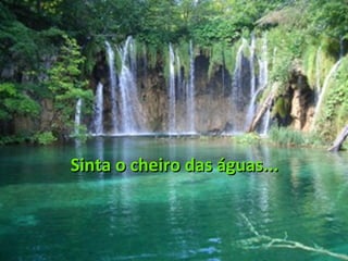 Sinta o cheiro das águas... 