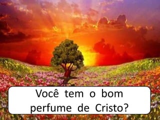 Você tem o bom
perfume de Cristo?
 