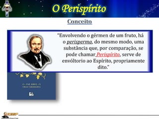 O Perispírito
93- “O Espírito, propriamente dito,
nenhuma cobertura tem, ou, como
pretendem alguns, está sempre
envolto numa substância qualquer?”
“Envolve-o uma substância, vaporosa
para os teus olhos, mas ainda bastante
grosseira para nós. Entretanto, pode
elevar-se na atmosfera e transportar-se
aonde queira.”
“Envolvendo o gérmen de um fruto, há
o perisperma, do mesmo modo, uma
substância que, por comparação, se
pode chamar Perispírito, serve de
envóltorio ao Espírito, propriamente
dito.”
 
