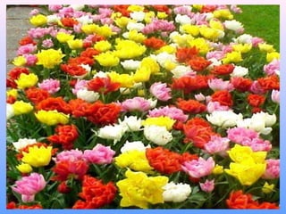 Para mudar a condição de seu perispírito, o espírito precisa primeiro mudar sua natureza. Ele tem que se despojar de seus instintos materiais, tem que se depurar e se transformar moralmente.  