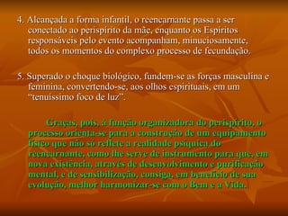 4. Alcançada a forma infantil, o reencarnante passa a ser conectado ao perispírito da mãe, enquanto os Espíritos responsáveis pelo evento acompanham, minuciosamente, todos os momentos do complexo processo de fecundação. 5. Superado o choque biológico, fundem-se as forças masculina e feminina, convertendo-se, aos olhos espirituais, em um “tenuíssimo foco de luz”. Graças, pois, à função organizadora do perispírito, o processo orienta-se para a construção de um equipamento físico que não só reflete a realidade psíquica do reencarnante, como lhe serve de instrumento para que, em nova existência, através de desenvolvimento e purificação mental, e de sensibilização, consiga, em benefício de sua evolução, melhor harmonizar-se com o Bem e a Vida. 