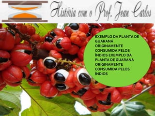 EXEMPLO DA PLANTA DE
GUARANÁ
ORIGINAMENTE
CONSUMIDA PELOS
ÍNDIOS EXEMPLO DA
PLANTA DE GUARANÁ
ORIGINAMENTE
CONSUMIDA PELOS
ÍNDIOS
 