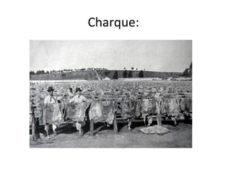 Charque:
 