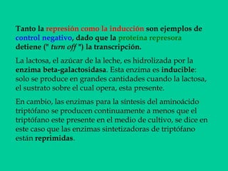 Tanto la represión como la inducción son ejemplos de
control negativo, dado que la proteína represora
detiene (" turn off ") la transcripción.
La lactosa, el azúcar de la leche, es hidrolizada por la
enzima beta-galactosidasa. Esta enzima es inducible:
solo se produce en grandes cantidades cuando la lactosa,
el sustrato sobre el cual opera, esta presente.
En cambio, las enzimas para la síntesis del aminoácido
triptófano se producen continuamente a menos que el
triptófano este presente en el medio de cultivo, se dice en
este caso que las enzimas sintetizadoras de triptófano
están reprimidas.
 