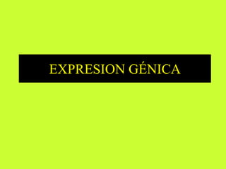 EXPRESION GÉNICA
 