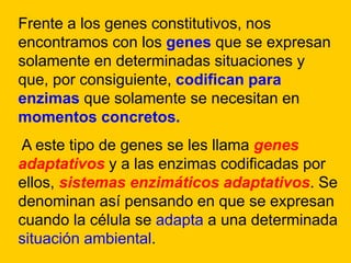 Frente a los genes constitutivos, nos
encontramos con los genes que se expresan
solamente en determinadas situaciones y
que, por consiguiente, codifican para
enzimas que solamente se necesitan en
momentos concretos.
A este tipo de genes se les llama genes
adaptativos y a las enzimas codificadas por
ellos, sistemas enzimáticos adaptativos. Se
denominan así pensando en que se expresan
cuando la célula se adapta a una determinada
situación ambiental.
 