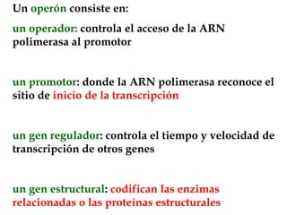 Un operón consiste en:   un operador: controla el acceso de la ARN polimerasa al promotorun promotor: donde la ARN polimerasa reconoce el sitio de inicio de la transcripciónun gen regulador: controla el tiempo y velocidad de transcripción de otros genesun gen estructural: codifican las enzimas relacionadas o las proteínas estructurales