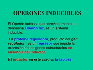 reprimibles, de acuerdo al mecanismo de control