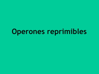 En ausencia del inductor (la lactosa), la proteína represora producto del gen i se encuentra unida a la región operadora e impide la unión de la ARN-polimerasa a la región promotora y, como consecuencia, no se transcriben los genes estructurales.