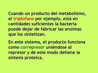 Operones reprimibles