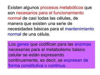REGULACIÓN EXPRESIÓN GÉNICA