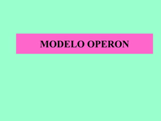 MODELO OPERON