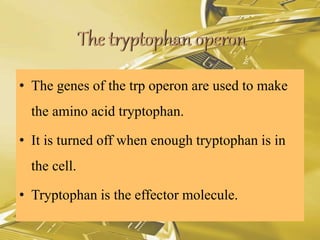 • The genes of the trp operon are used to make
the amino acid tryptophan.
• It is turned off when enough tryptophan is in
the cell.
• Tryptophan is the effector molecule.
 