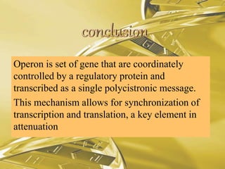 Operon is set of gene that are coordinately
controlled by a regulatory protein and
transcribed as a single polycistronic message.
This mechanism allows for synchronization of
transcription and translation, a key element in
attenuation
 