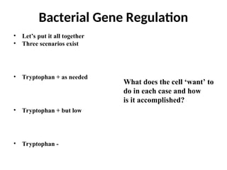 • Let’s put it all together
• Three scenarios exist
• Tryptophan + as needed
• Tryptophan + but low
• Tryptophan -
Bacterial Gene Regulation
What does the cell ‘want’ to
do in each case and how
is it accomplished?
 