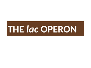 THE lac OPERON
 