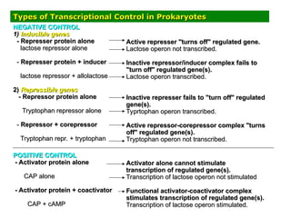 Types of Transcriptional Control in Prokaryotes
Types of Transcriptional Control in Prokaryotes
NEGATIVE CONTROL
NEGATIVE CONTROL
1)
1) Inducible genes
Inducible genes
- Represser protein alone
- Represser protein alone
lactose repressor alone
lactose repressor alone
-
- Represser protein + inducer
Represser protein + inducer
lactose repressor + allolactose
lactose repressor + allolactose
2)
2) Repressible genes
Repressible genes
- Repressor protein alone
- Repressor protein alone
Tryptophan repressor alone
Tryptophan repressor alone
-
- Repressor + corepressor
Repressor + corepressor
Tryptophan repr. + tryptophan
Tryptophan repr. + tryptophan
Active represser "turns off" regulated gene.
Active represser "turns off" regulated gene.
Lactose operon not transcribed.
Lactose operon not transcribed.
Inactive repressor/inducer complex fails to
Inactive repressor/inducer complex fails to
"turn off" regulated gene(s).
"turn off" regulated gene(s).
Lactose operon transcribed.
Lactose operon transcribed.
Inactive represser fails to "turn off" regulated
Inactive represser fails to "turn off" regulated
gene(s).
gene(s).
Typrtophan operon transcribed.
Typrtophan operon transcribed.
Active repressor-corepressor complex "turns
Active repressor-corepressor complex "turns
off" regulated gene(s).
off" regulated gene(s).
Tryptophan operon not transcribed.
Tryptophan operon not transcribed.
POSITIVE CONTROL
POSITIVE CONTROL
- Activator protein alone
- Activator protein alone
CAP alone
CAP alone
- Activator protein + coactivator
- Activator protein + coactivator
CAP + cAMP
CAP + cAMP
Activator alone cannot stimulate
Activator alone cannot stimulate
transcription of regulated gene(s).
transcription of regulated gene(s).
Transcription of lactose operon not stimulated
Transcription of lactose operon not stimulated
Functional activator-coactivator complex
Functional activator-coactivator complex
stimulates transcription of regulated gene(s).
stimulates transcription of regulated gene(s).
Transcription of lactose operon stimulated.
Transcription of lactose operon stimulated.
 