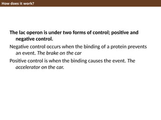 How does it work?
The lac operon is under two forms of control; positive and
negative control.
Negative control occurs when the binding of a protein prevents
an event. The brake on the car
Positive control is when the binding causes the event. The
accelerator on the car.
 