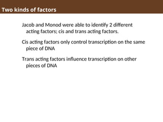 Two kinds of factors
Jacob and Monod were able to identify 2 different
acting factors; cis and trans acting factors.
Cis acting factors only control transcription on the same
piece of DNA
Trans acting factors influence transcription on other
pieces of DNA
 