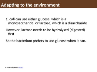 Adapting to the environment
E. coli can use either glucose, which is a
monosaccharide, or lactose, which is a disaccharide
However, lactose needs to be hydrolysed (digested)
first
So the bacterium prefers to use glucose when it can.
© 2016 Paul Billiet ODWS
 