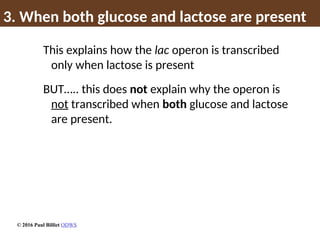 3. When both glucose and lactose are present
This explains how the lac operon is transcribed
only when lactose is present
BUT….. this does not explain why the operon is
not transcribed when both glucose and lactose
are present.
© 2016 Paul Billiet ODWS
 