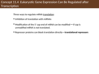 Concept 11.4 Eukaryotic Gene Expression Can Be Regulated after
Transcription
Three ways to regulate mRNA translation:
• Inhibition of translation with miRNAs
• Modification of the 5′ cap end of mRNA can be modified—if cap is
unmodified mRNA is not translated.
• Repressor proteins can block translation directly—translational repressors
 