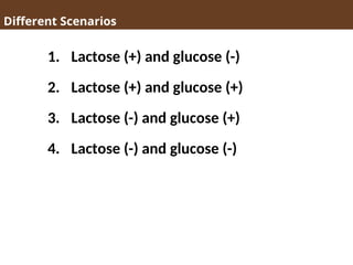 Different Scenarios
1. Lactose (+) and glucose (-)
2. Lactose (+) and glucose (+)
3. Lactose (-) and glucose (+)
4. Lactose (-) and glucose (-)
 