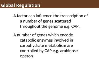 Global Regulation
A factor can influence the transcription of
a number of genes scattered
throughout the genome e.g. CAP.
A number of genes which encode
catabolic enzymes involved in
carbohydrate metabolism are
controlled by CAP e.g. arabinose
operon
 