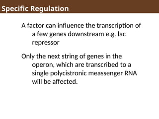 Specific Regulation
A factor can influence the transcription of
a few genes downstream e.g. lac
repressor
Only the next string of genes in the
operon, which are transcribed to a
single polycistronic meassenger RNA
will be affected.
 