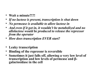 • Wait a minute?!?!
• If no lactose is present, transcription is shut down
• No permease is available to allow lactose in
• And even if it got in, it wouldn’t be metabolized and no
allolactose would be produced to release the repressor
from the operator
• How does transcription EVER start?
• Leaky transcription
• Binding of the repressor is reversible
• Sometimes it just falls off, allowing a very low level of
transcription and low levels of permease and -
galactosidase in the cell
Bacterial Gene Regulation
 