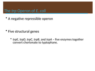 The trp Operon of E. coli
• A negative repressible operon
• Five structural genes
• trpE, trpD, trpC, trpB, and trpA – five enzymes together
convert chorismate to typtophane.
 