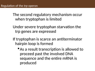 Regulation of the trp operon
The second regulatory mechanism occur
when tryptophan is limited
Under severe tryptophan starvation the
trp genes are expressed
If tryptophan is scarce an antiterminator
hairpin loop is formed
As a result transcription is allowed to
proceed past the involved DNA
sequence and the entire mRNA is
produced
 