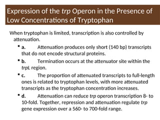 When tryptophan is limited, transcription is also controlled by
attenuation.
 a. Attenuation produces only short (140 bp) transcripts
that do not encode structural proteins.
 b. Termination occurs at the attenuator site within the
trpL region.
 c. The proportion of attenuated transcripts to full-length
ones is related to tryptophan levels, with more attenuated
transcripts as the tryptophan concentration increases.
 d. Attenuation can reduce trp operon transcription 8- to
10-fold. Together, repression and attenuation regulate trp
gene expression over a 560- to 700-fold range.
Expression of the trp Operon in the Presence of
Low Concentrations of Tryptophan
 