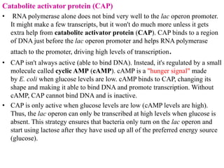 differernt types of Operon concepts