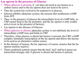 differernt types of Operon concepts